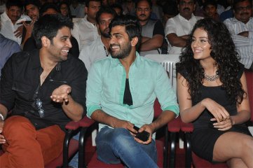 Run Raja Run Audio Launch